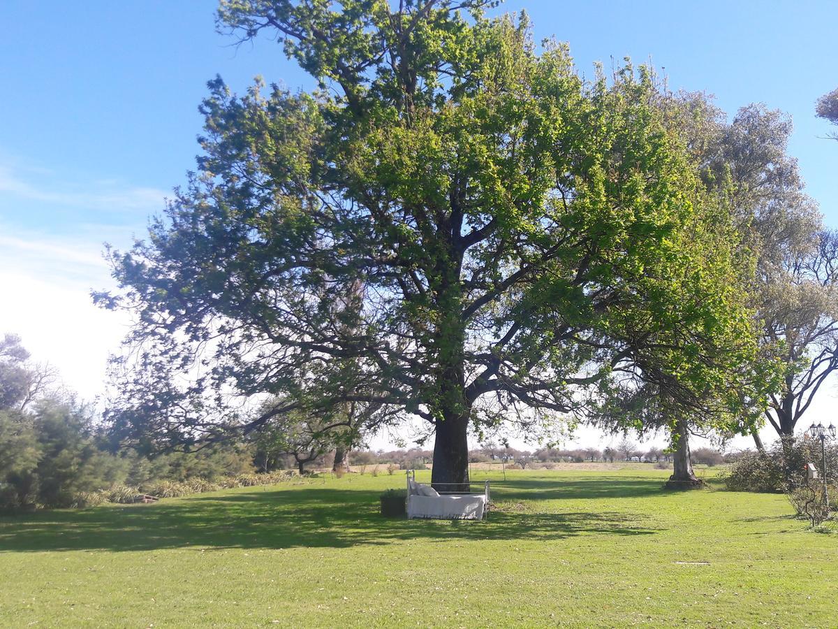 Estancia El Cangue Порвенир Экстерьер фото