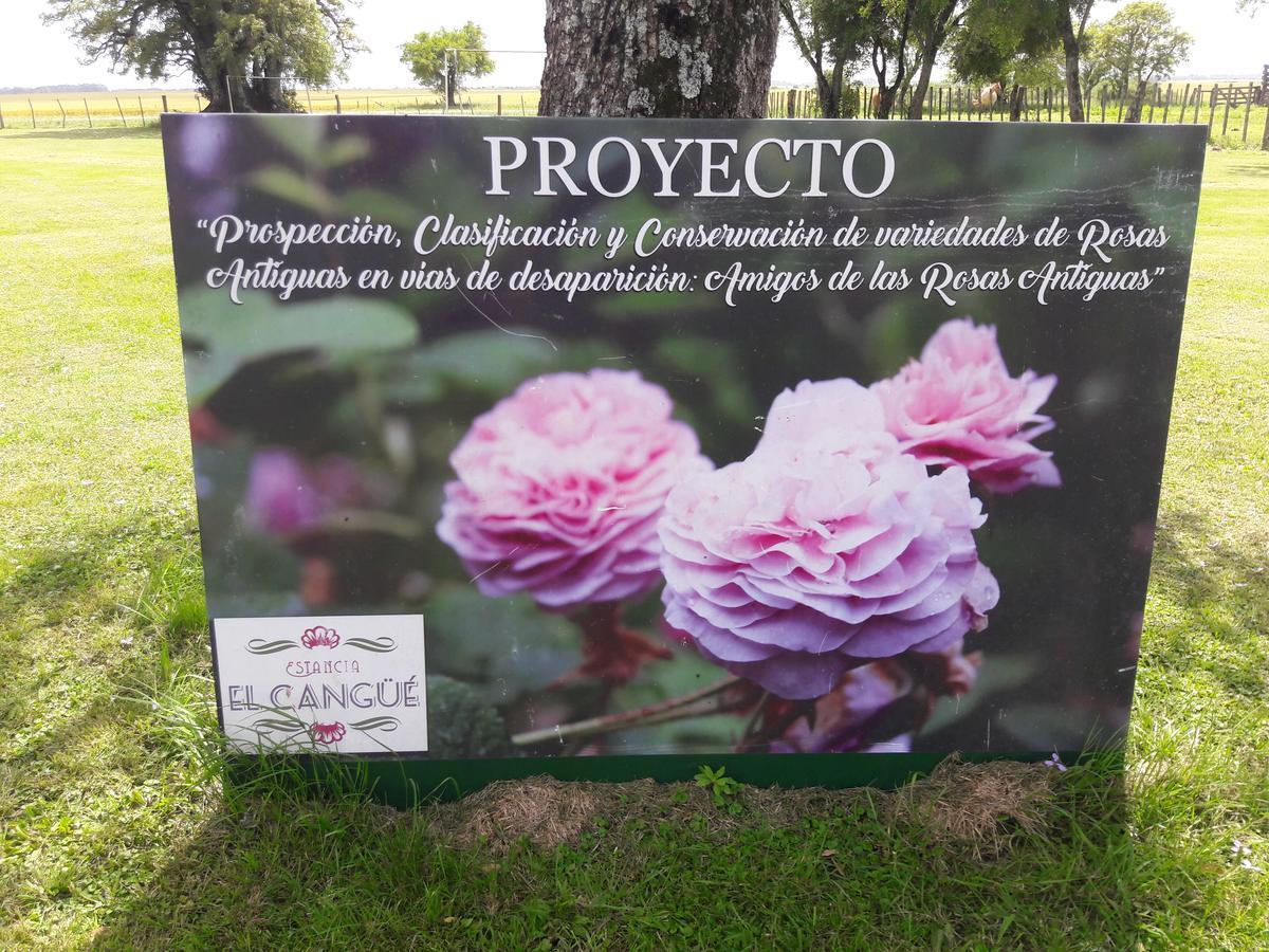 Estancia El Cangue Порвенир Экстерьер фото