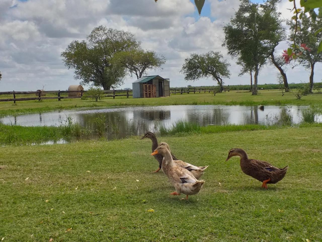Estancia El Cangue Порвенир Экстерьер фото